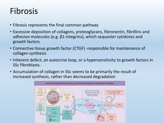 Fibrosis
• Fibrosis represents the final common pathway
• Excessive deposition of collagens, proteoglycans, fibronectin, fibrillins and
adhesion molecules (e.g. β1-integrins), which sequester cytokines and
growth factors
• Connective tissue growth factor (CTGF) -responsible for maintenance of
collagen synthesis
• Inherent defect, an autocrine loop, or a hypersensitivity to growth factors in
SSc fibroblasts.
• Accumulation of collagen in SSc seems to be primarily the result of
increased synthesis, rather than decreased degradation
 