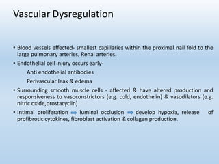 Vascular Dysregulation
• Blood vessels effected- smallest capillaries within the proximal nail fold to the
large pulmonary arteries, Renal arteries.
• Endothelial cell injury occurs early-
Anti endothelial antibodies
Perivascular leak & edema
• Surrounding smooth muscle cells - affected & have altered production and
responsiveness to vasoconstrictors (e.g. cold, endothelin) & vasodilators (e.g.
nitric oxide,prostacyclin)
• Intimal proliferation luminal occlusion develop hypoxia, release of
profibrotic cytokines, fibroblast activation & collagen production.
 
