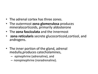 • The adrenal cortex has three zones.
• The outermost zona glomerulosa produces
  mineralocorticoids, primarily aldosterone
• The zona fasciculata and the innermost
• zona reticularis secrete glucocorticoid,cortisol, and
  androgens.

• The inner portion of the gland, adrenal
  medulla,produces catecholamines,
   – epinephrine (adrenaline), and
   – norepinephrine (noradrenaline).
 