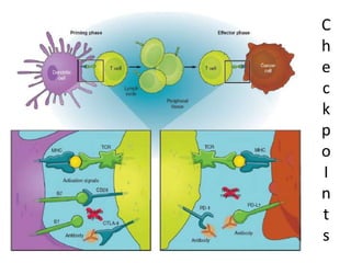 C
h
e
c
k
p
o
I
n
t
s
 