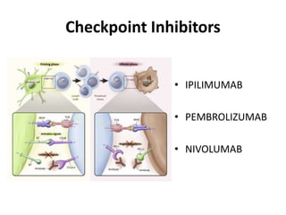 Checkpoint Inhibitors
• IPILIMUMAB
• PEMBROLIZUMAB
• NIVOLUMAB
 