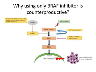 Why using only BRAF inhibitor is
counterproductive?
 