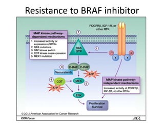 Resistance to BRAF inhibitor
 