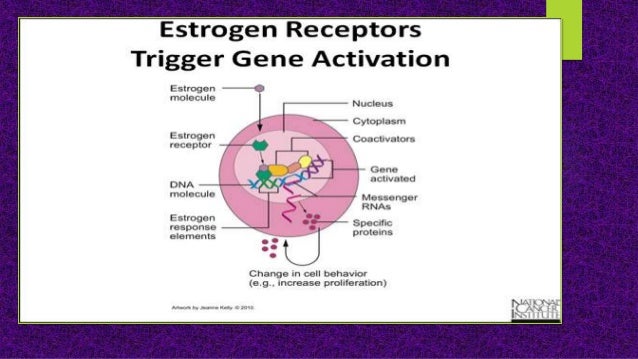 Systemic therapy stage 4 breast sadia