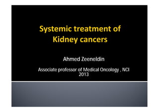 Ahmed Zeeneldin
Associate professor of Medical Oncology , NCI
                    2013
 