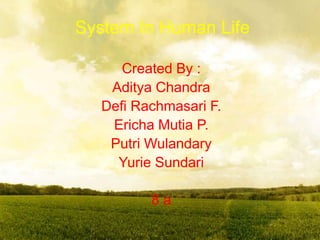 System In Human Life

      Created By :
    Aditya Chandra
   Defi Rachmasari F.
    Ericha Mutia P.
    Putri Wulandary
     Yurie Sundari

          8a
 