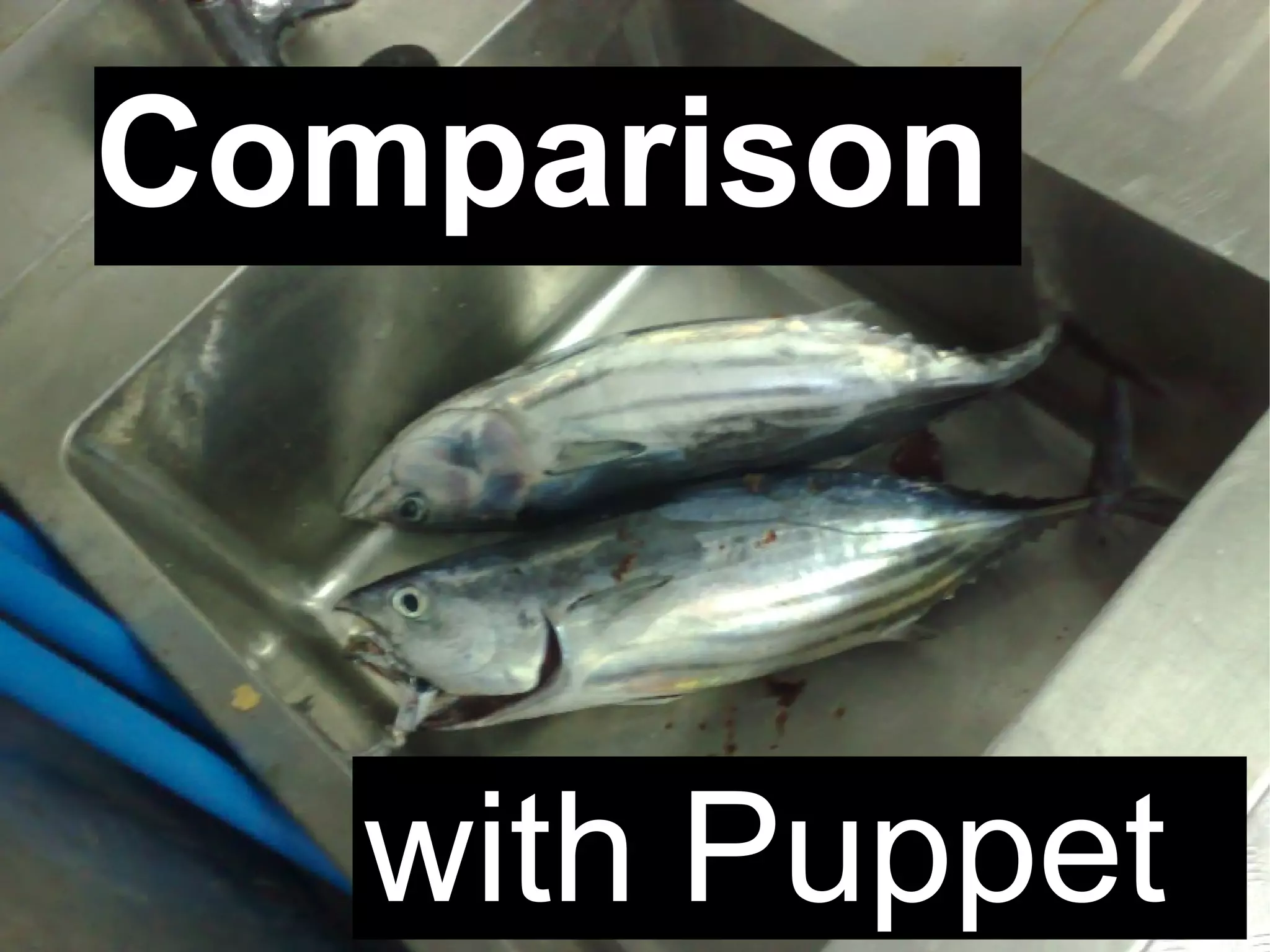 Automatic systems installations and change management wit FAI - Talk for Netways OSDC 2009