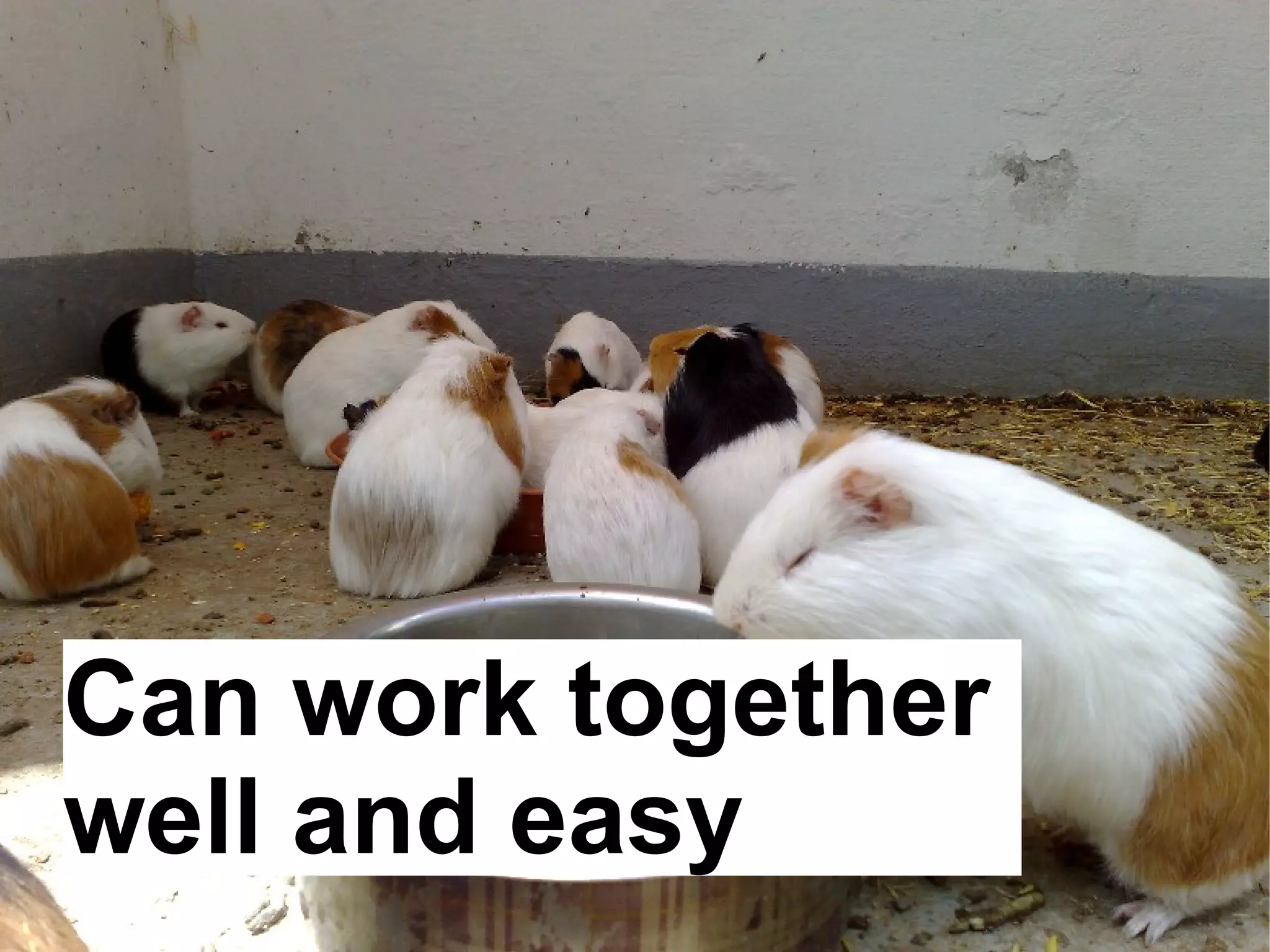 Automatic systems installations and change management wit FAI - Talk for Netways OSDC 2009