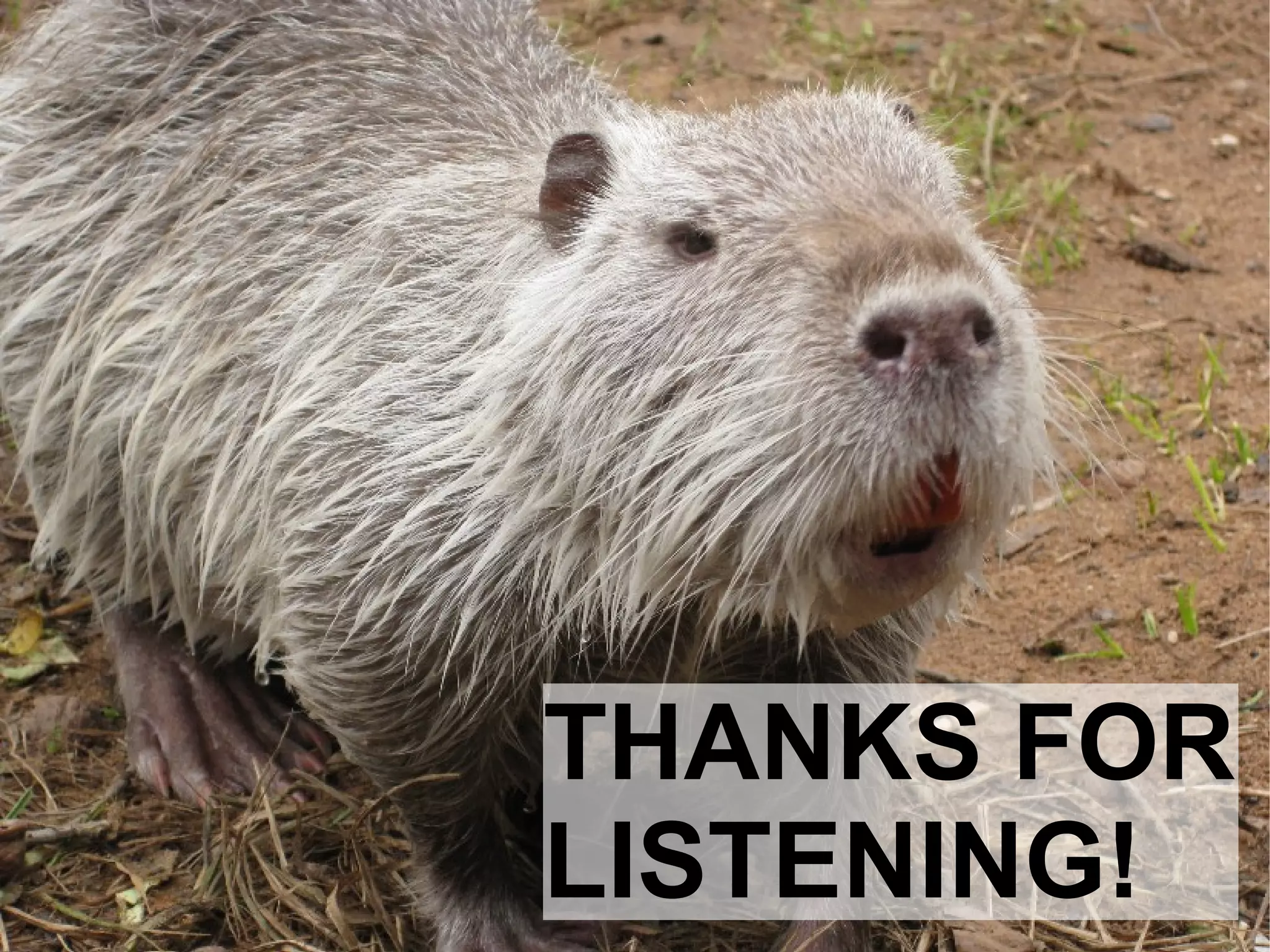 Automatic systems installations and change management wit FAI - Talk for Netways OSDC 2009