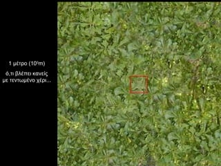 1 μέτρο (10 0 m) ό,τι βλέπει κανείς με τεντωμένο χέρι... 