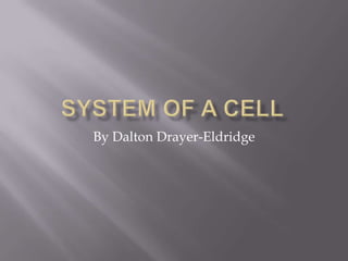 System of a Cell By Dalton Drayer-Eldridge 