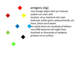 antigens (Ag)
•any foreign object that our immune
system can react with
•protein, virus, bacterial cell, toxic
molecule, pollen grain, polysaccharide, etc
•here, there are 8 shown
•in reality there are hundreds of billions
•any ONE bacterial cell might have
hundreds or thousands of antigenic
proteins on its surface
 