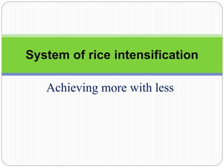Achieving more with less
System of rice intensification
 