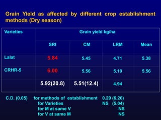 Varieties Grain yield kg/ha
SRI ICM LRM Mean
Lalat 5.84 5.45 4.71 5.38
CRHR-5 6.00 5.56 5.10 5.56
5.92(20.8) 5.51(12.4) 4....