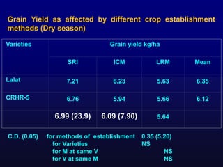 Varieties Grain yield kg/ha
SRI ICM LRM Mean
Lalat 7.21 6.23 5.63 6.35
CRHR-5 6.76 5.94 5.66 6.12
6.99 (23.9) 6.09 (7.90) ...