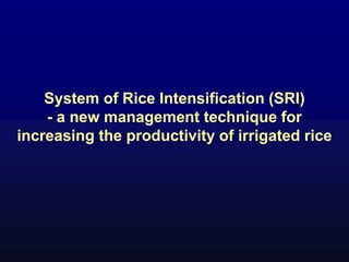 System of Rice Intensification (SRI)
- a new management technique for
increasing the productivity of irrigated rice
 