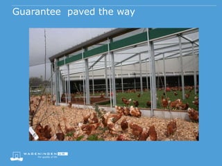 System redesign in animal production: Dutch experiences and broader relevance