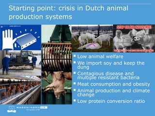 System redesign in animal production: Dutch experiences and broader relevance