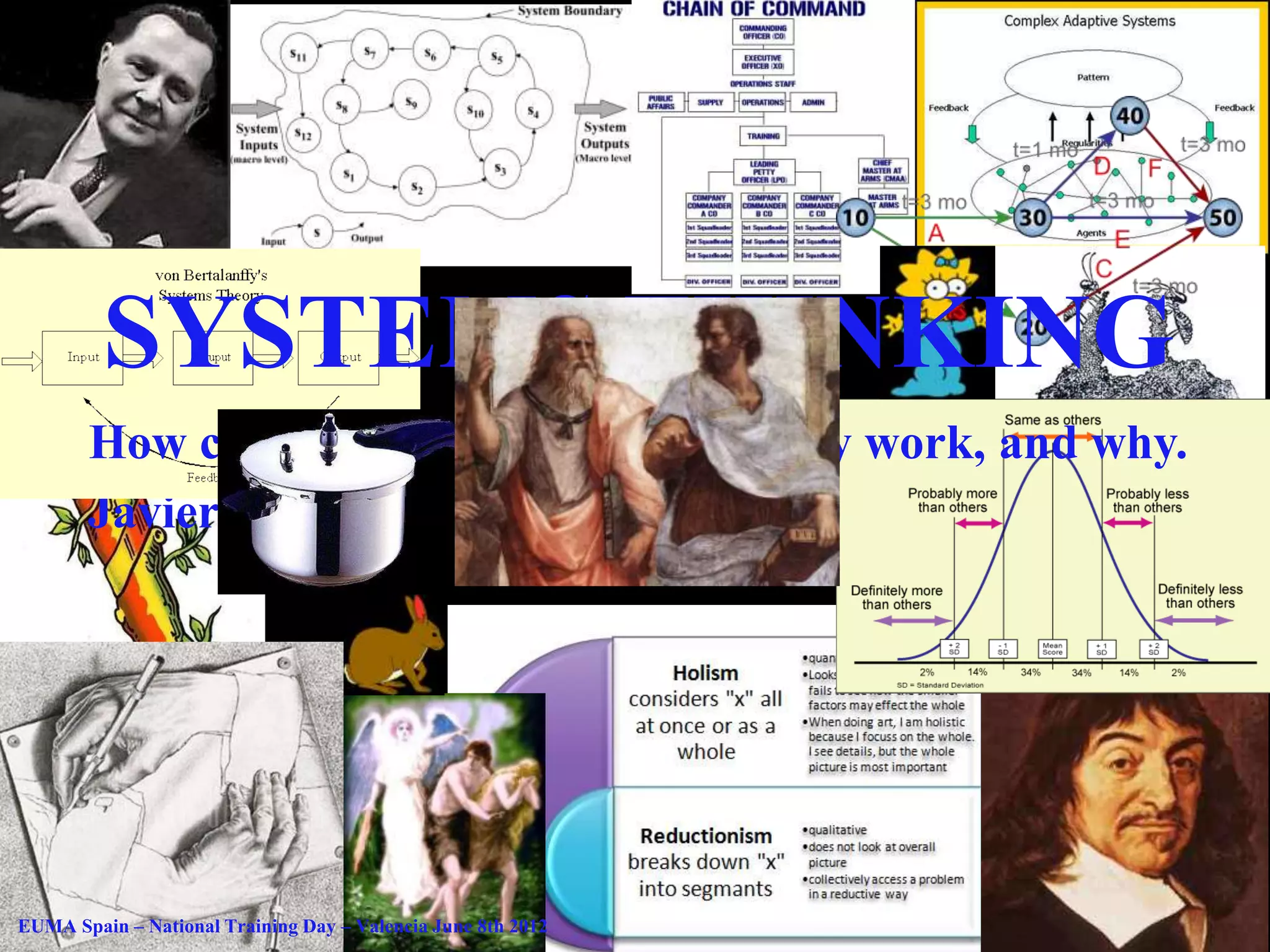 SYSTEMS THINKING
       How complex organizations actually work, and why.
       Javier L. Izquierdo.




EUMA Spain – National Training Day – Valencia June 8th 2012
 