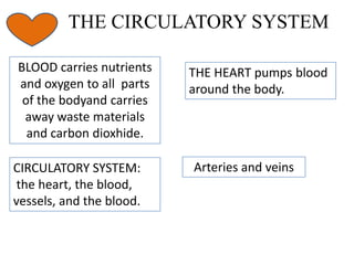 THE CIRCULATORY SYSTEM
BLOOD carries nutrients
and oxygen to all parts
of the bodyand carries
away waste materials
and carbon dioxhide.
CIRCULATORY SYSTEM:
the heart, the blood,
vessels, and the blood.

THE HEART pumps blood
around the body.

Arteries and veins

 