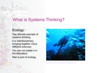 Systems Oriented Design in a Nutshell | PDF