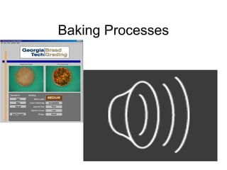 Baking Processes
 