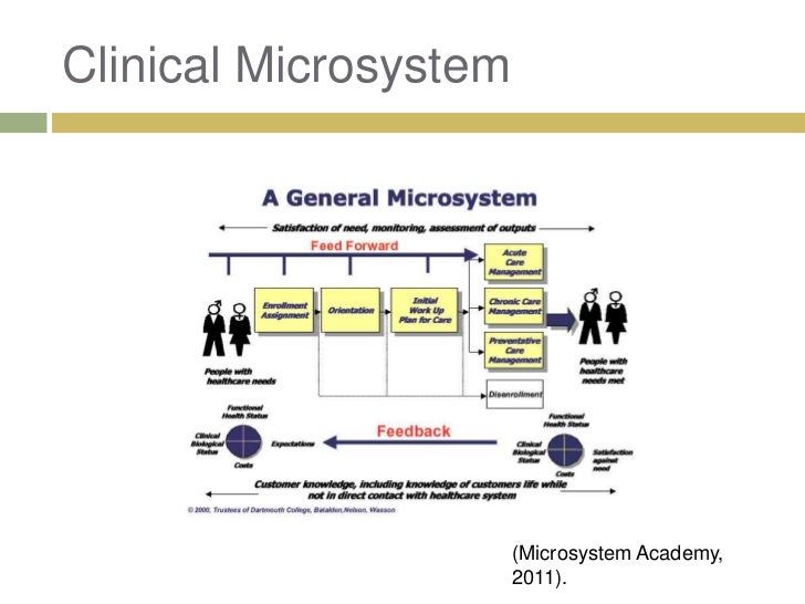 Systems and microsystems (1)