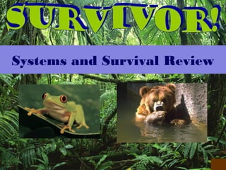 Systems and Survival Review
 