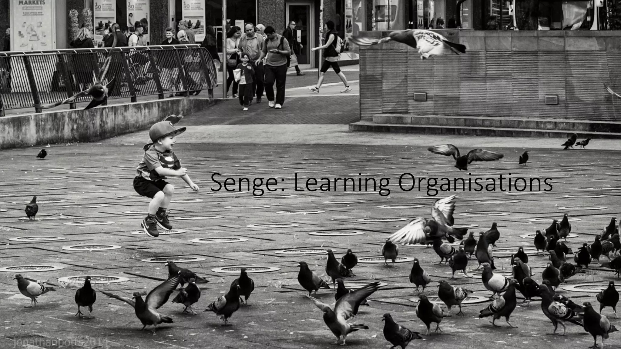 Senge: Learning Organisations