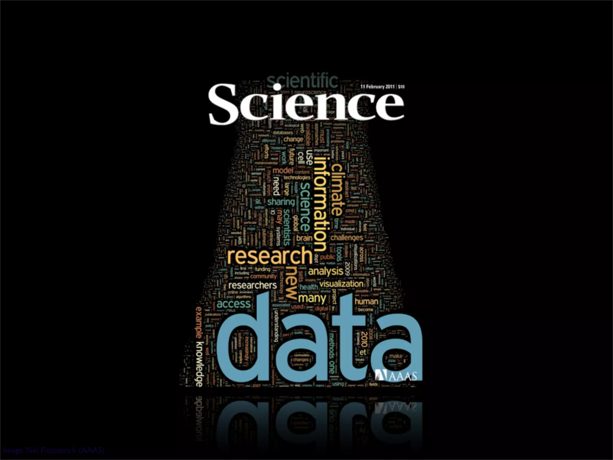 Image:Yael Fitzpatrick (AAAS)
 