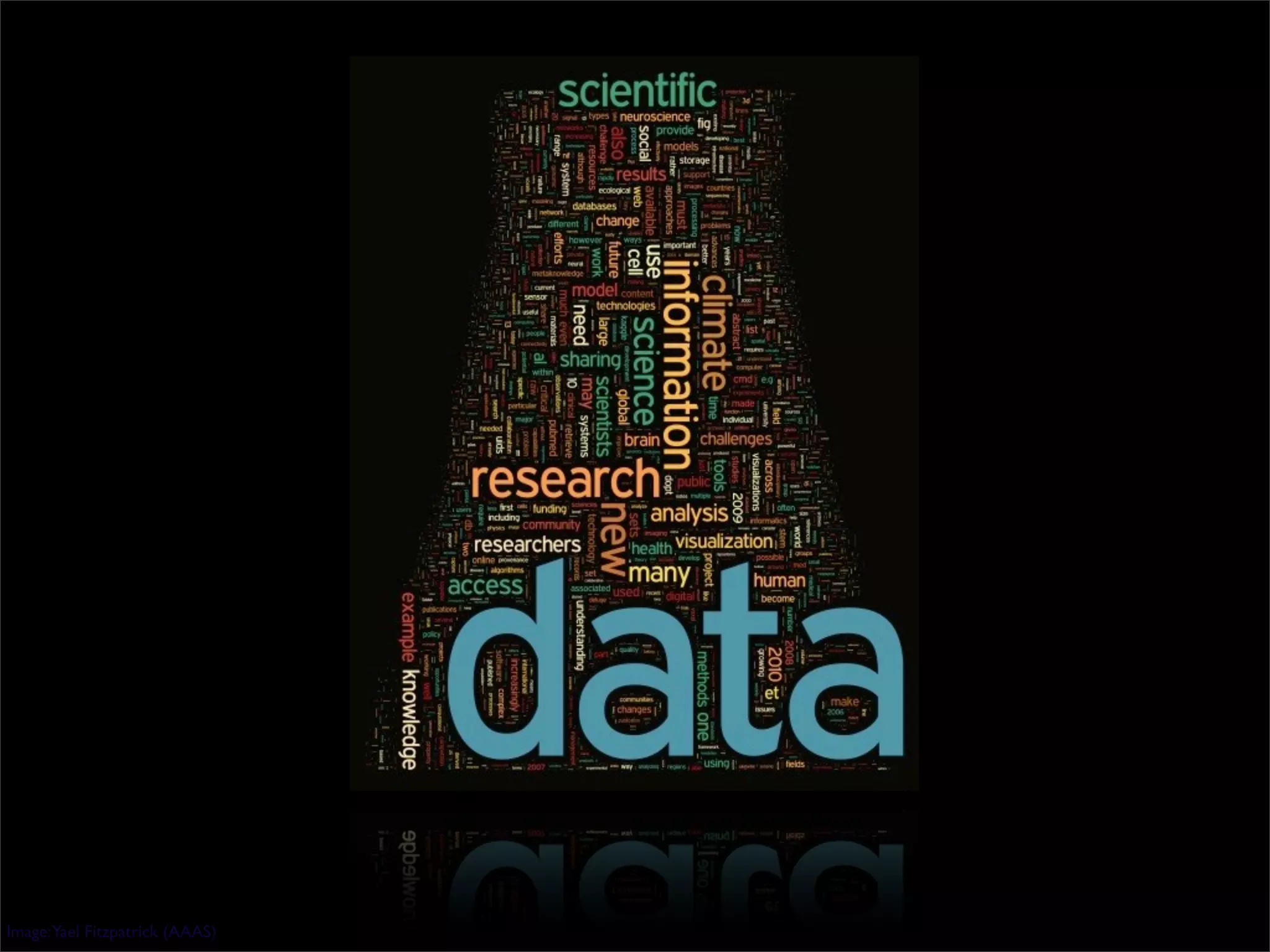 Image:Yael Fitzpatrick (AAAS)
 