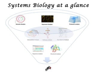 Systems Biology at a glance


  Genome Analysis                           Expression Analysis                                   Proteome analysis




                    Interactome Analysis         Pathway analysis         Flux Balance Analysis




                             Sequence analysis                Structural analysis
 