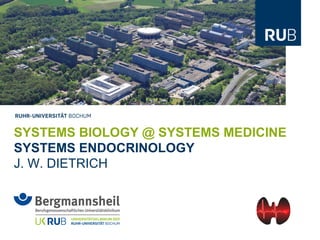 SYSTEMS BIOLOGY @ SYSTEMS MEDICINE
SYSTEMS ENDOCRINOLOGY
J. W. DIETRICH
 