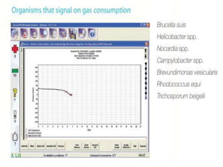 systems for processing blood cultures.pptx