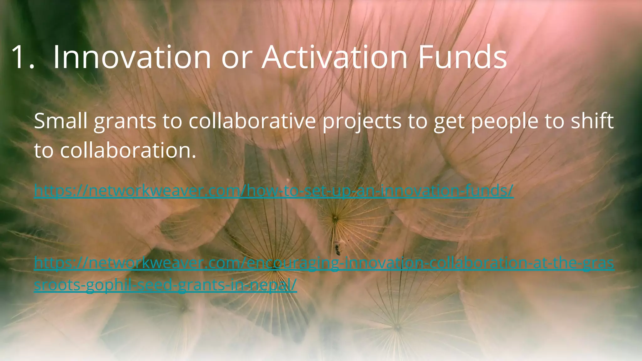 1. Innovation or Activation Funds
Small grants to collaborative projects to get people to shift
to collaboration.
https://networkweaver.com/how-to-set-up-an-innovation-funds/
https://networkweaver.com/encouraging-innovation-collaboration-at-the-gras
sroots-gophil-seed-grants-in-nepal/
 
