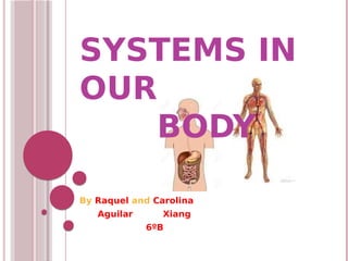 SYSTEMS IN
OUR
BODY
By Raquel and Carolina
Aguilar Xiang
6ºB
 