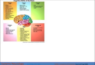 OUTDATED (Version 0.9) Systems Neurology (the only objective is My CAREER, only , Eng.EmadFaragHABIB)- Ver 0.9.pdf