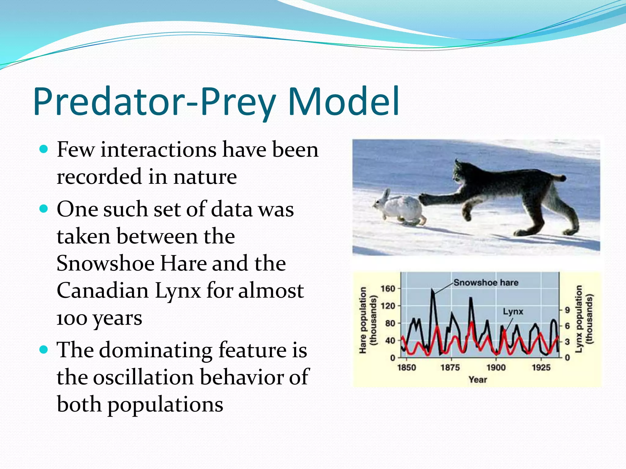 Predator-Prey Model
 Few interactions have been
  recorded in nature
 One such set of data was
  taken between the
  Snowshoe Hare and the
  Canadian Lynx for almost
  100 years
 The dominating feature is
  the oscillation behavior of
  both populations
 