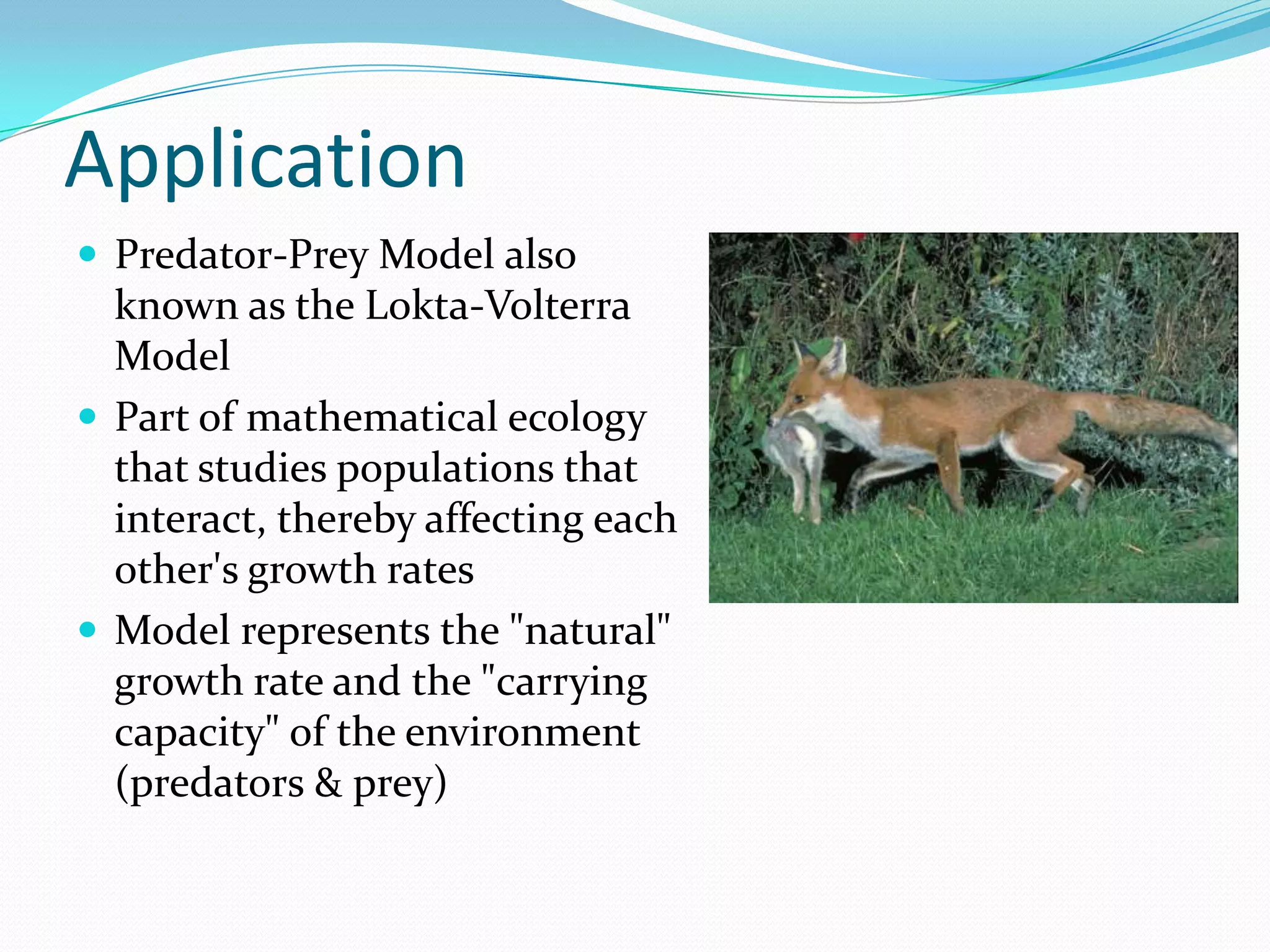Application
 Predator-Prey Model also
  known as the Lokta-Volterra
  Model
 Part of mathematical ecology
  that studies populations that
  interact, thereby affecting each
  other's growth rates
 Model represents the "natural"
  growth rate and the "carrying
  capacity" of the environment
  (predators & prey)
 