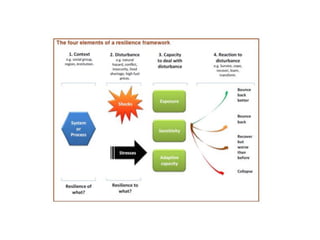 Disaster Management Key Terminologies Systems of Earth and Key terms in Disaster Management | PDF