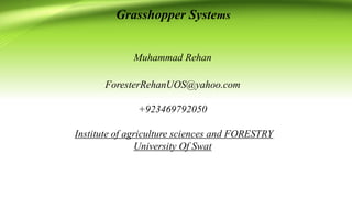 Grasshopper Systems
Muhammad Rehan
ForesterRehanUOS@yahoo.com
+923469792050
Institute of agriculture sciences and FORESTRY
University Of Swat
 