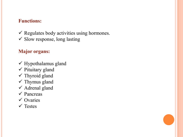 Systems of human body | PPTX