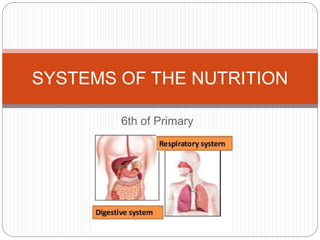 6th of Primary
SYSTEMS OF THE NUTRITION
 