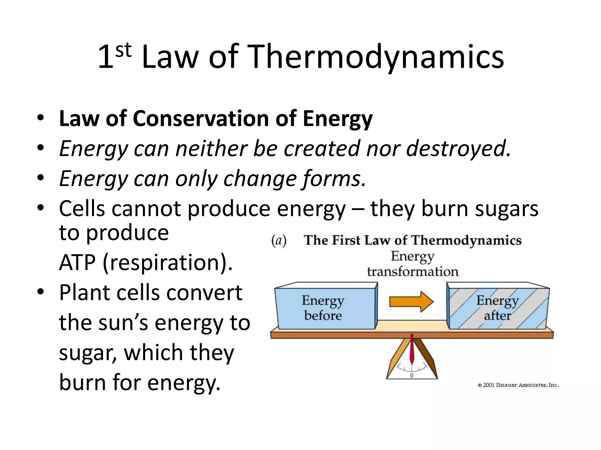 1st Law of ThermodynamicsLaw of Conservation of EnergyEnergy can neither be created nor destroyed.Energy can only change forms.Cells cannot produce energy – they burn sugars to produce    ATP (respiration).Plant cells convert    the sun’s energy to    sugar, which they    burn for energy.