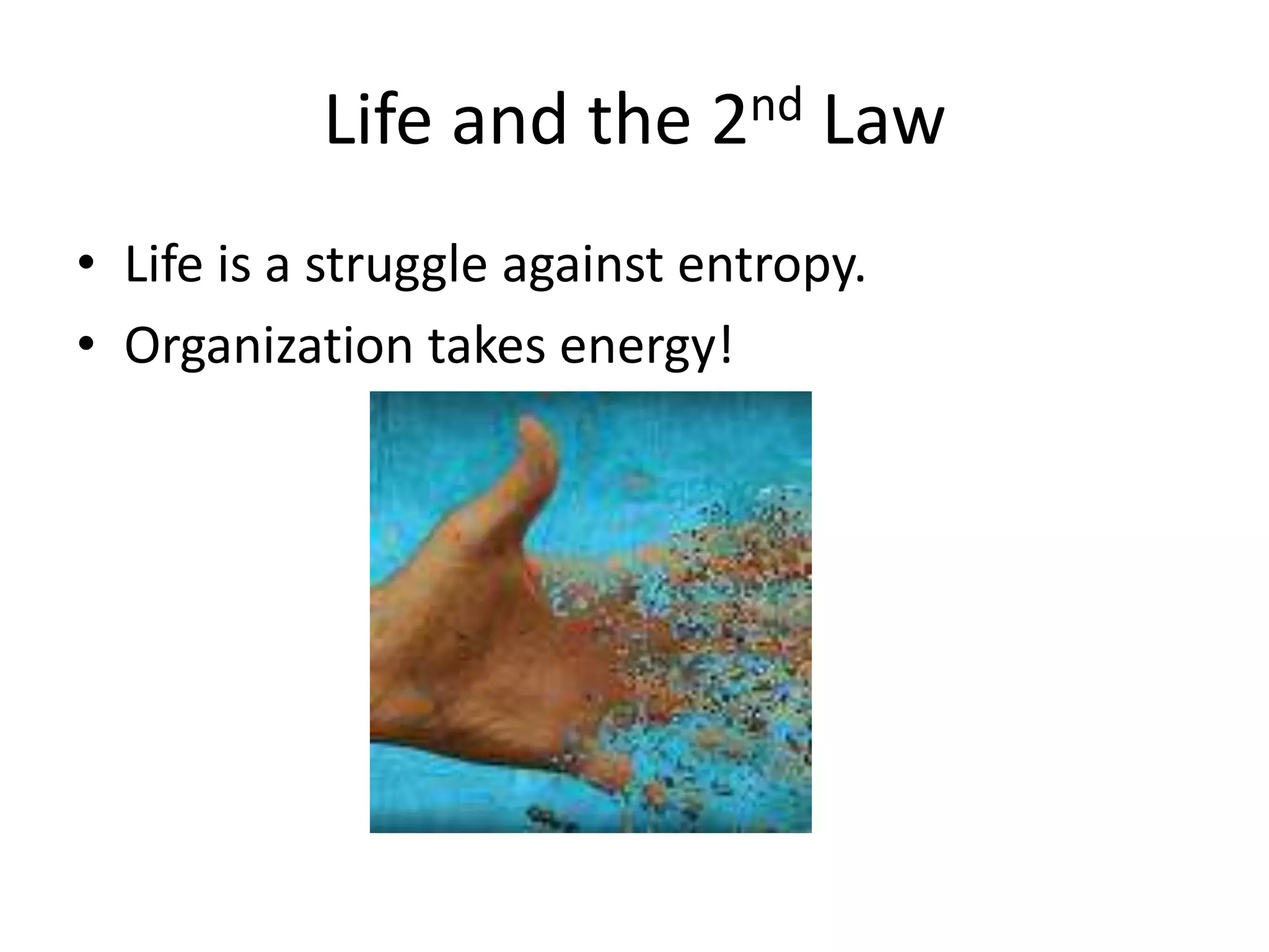 Life and the 2nd LawLife is a struggle against entropy.Organization takes energy!