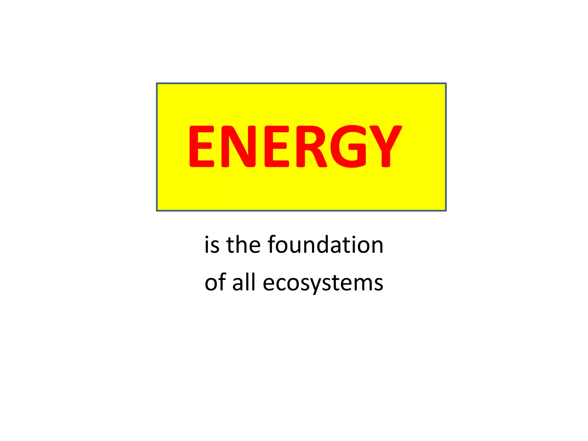 ENERGYis the foundationof all ecosystems