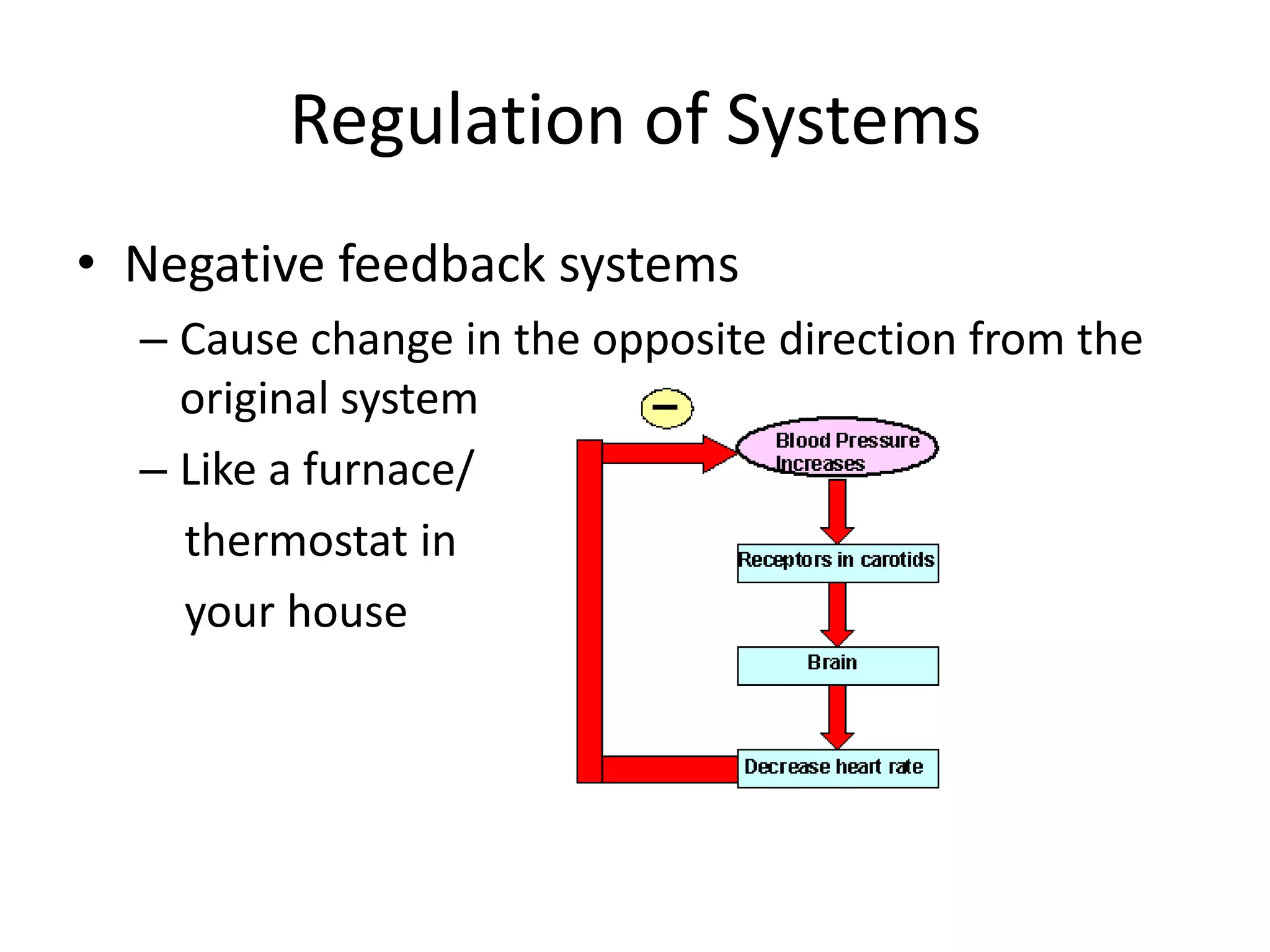 Regulation of SystemsNegative feedback systemsCause change in the opposite direction from the original systemLike a furnace/    thermostat in     your house