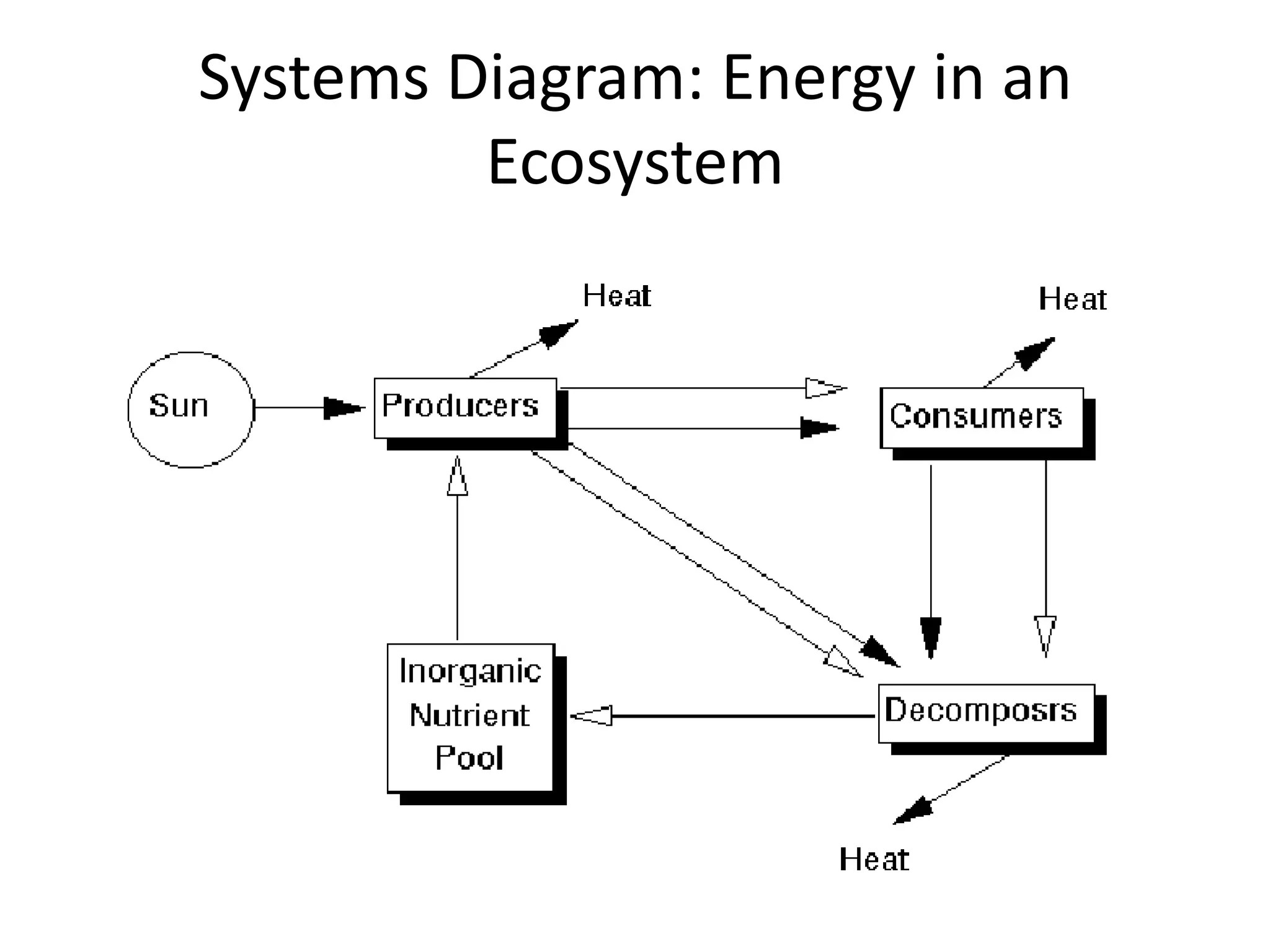 Systems Diagram: Energy in an Ecosystem
