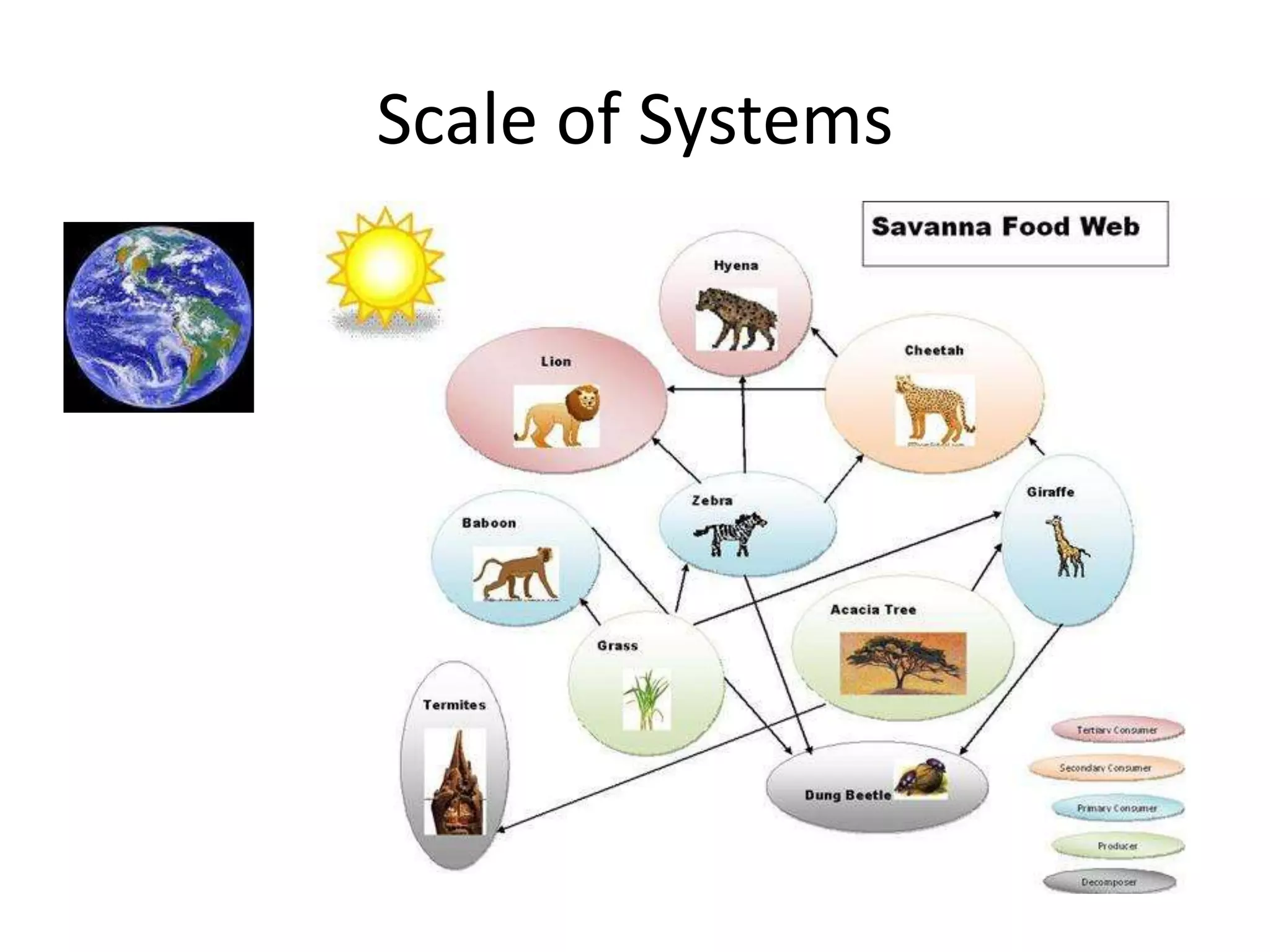 Scale of Systems