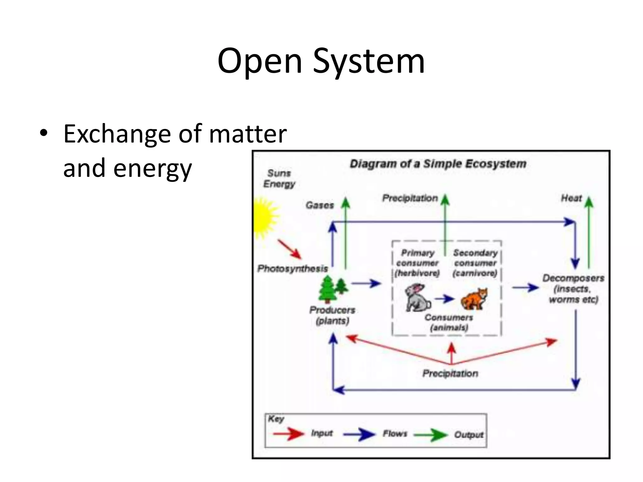 Open SystemExchange of matter and energy